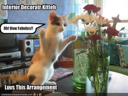 funny-pictures-your-cat-is-an-interior-decorator.jpg