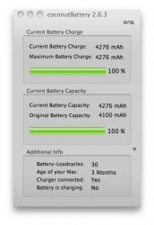 coconutBattery 2.6.3.jpg