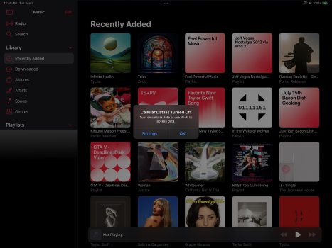 #5 iPadOS Cellular Bug inside all versions of iPadOS17.0-17.6.jpg