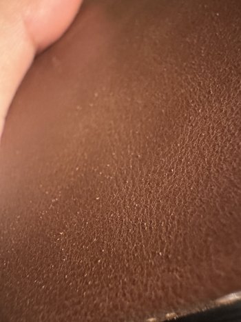 IMG_0337.jpeg