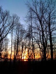 Sunset.jpg