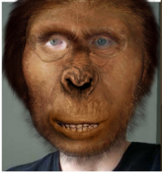 Picture 11.png