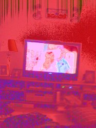 IMG_0540.jpg