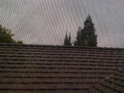 IMG_0295.JPG