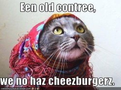 funny-pictures-immigrant-cat-reflects-on-life-with-no-cheeseburgers.jpg