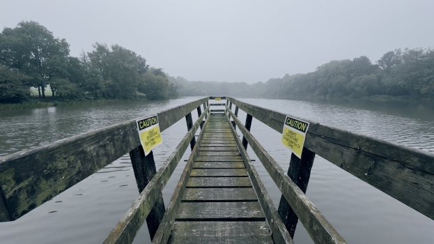 IMG_8522.jpeg