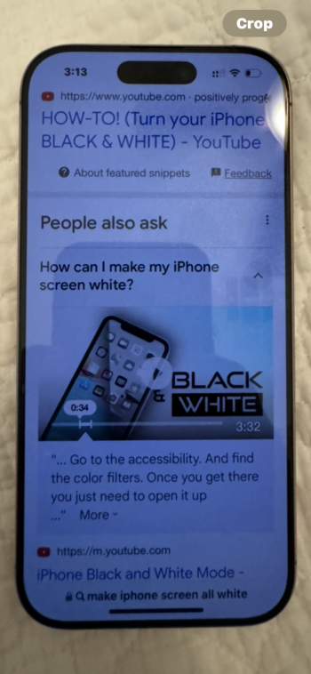 IMG_0113.png