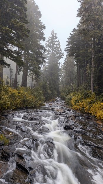 PXL_20241004_210857995.LONG_EXPOSURE-01.COVER~2.jpg