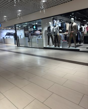 IMG_0717.jpeg
