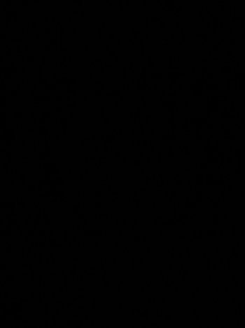 IMG_0959.jpeg