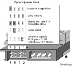 Picture 1.jpg