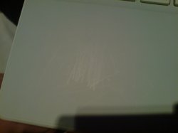 DSC00710.JPG