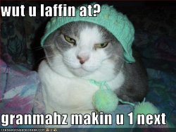 cat.jpg