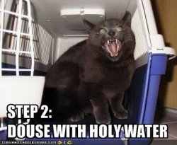funny-pictures-your-cat-should-be-doused-in-holy-water.jpg