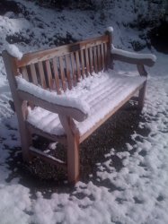 IMG_0010.JPG