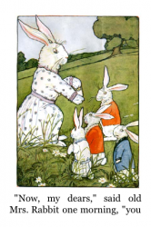 peterrabbit 002.png