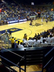 Cal WBB4.jpg
