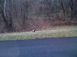 photo-14.jpg