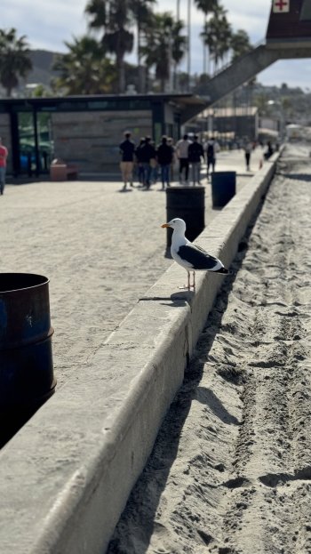 IMG_5045.jpeg