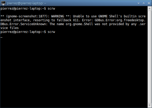 gnome-screenshot_error-message.png