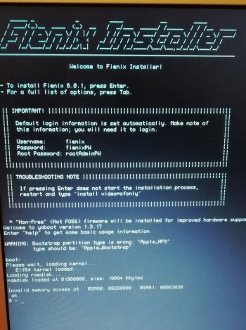 Fienix_boot_error-msg.jpg
