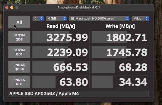 256gb apple.jpg