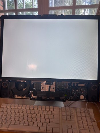 Imagen de WhatsApp 2025-03-10 a las 09.49.13_55e4da02.jpg