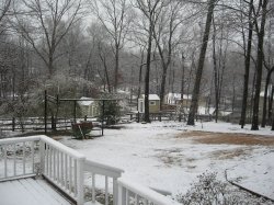 IMG_1066.jpg IMG_1066.jpg