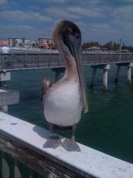 IMG_0139.jpg
