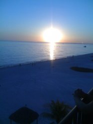 IMG_0142.jpg