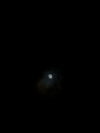 IMG_9785.jpeg