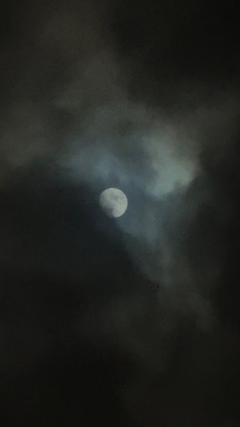 IMG_9788.jpeg