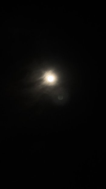 IMG_5936.jpeg