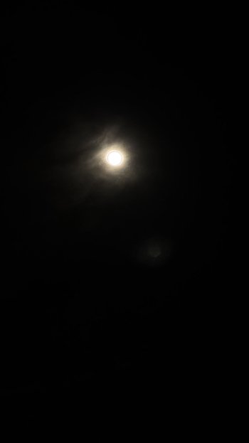 IMG_5935.jpeg