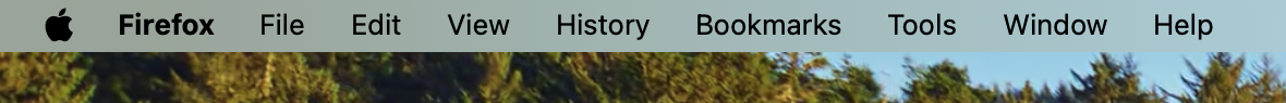 before.png