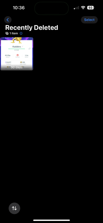 IMG_0422.png