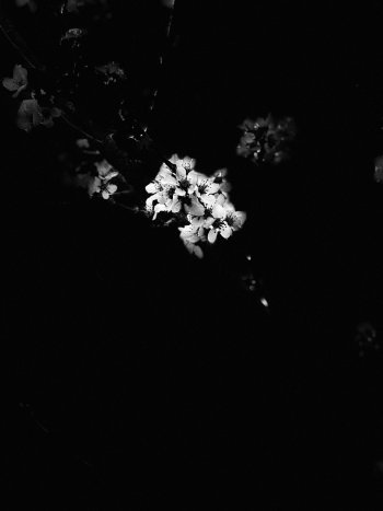 IMG_6261.jpeg IMG_6261.jpeg