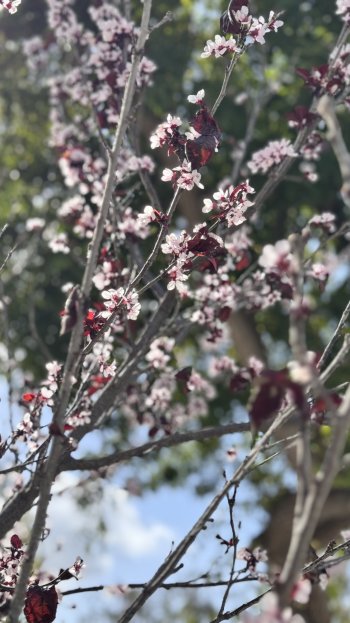 IMG_6344.jpeg