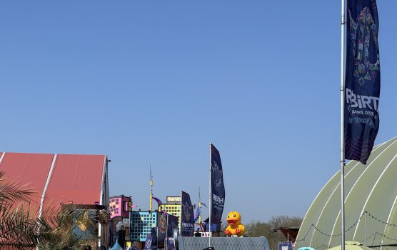 IMG_9766.jpeg