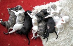 grouphug1.jpg