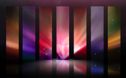 Picture 2.png