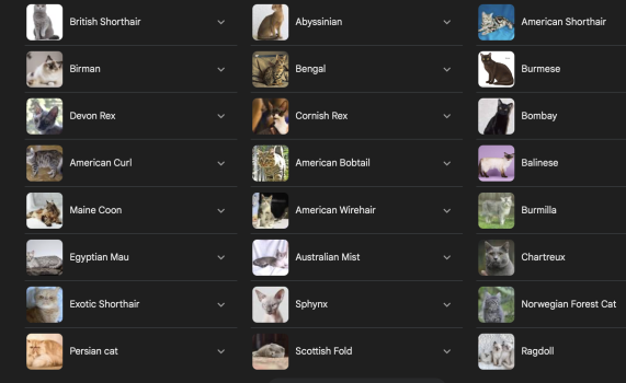 250529-cats.png
