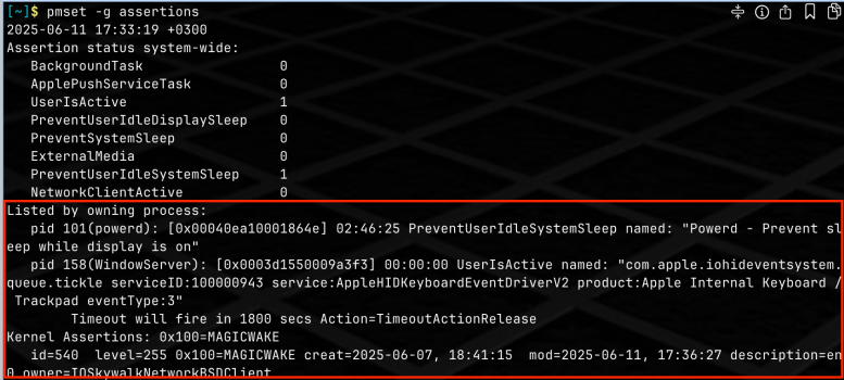 snap 2025-06-11 at 17.35.41.png