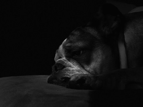 IMG_0045.jpeg
