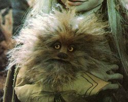 fizzgig2.jpg
