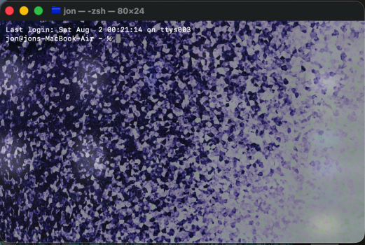 Screenshot 2025-08-02 at 1.03.56 AM.png