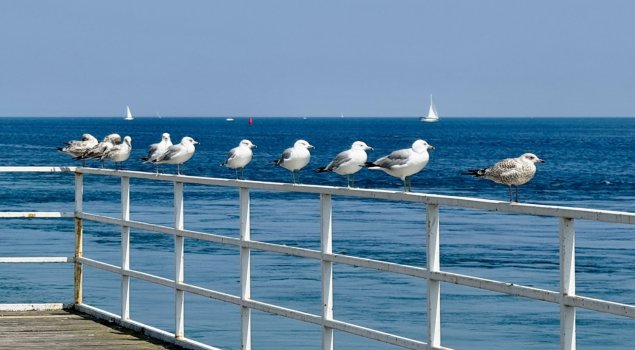 IMG_3464.JPG