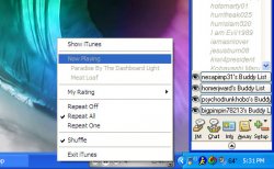 itunes toolbar screenshot.jpg
