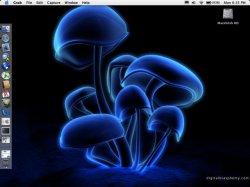 desktop.jpg