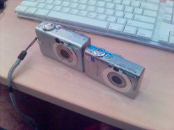 look how thin.jpg